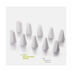 Decorating Piping Tips set of 10 units