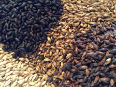 Chocolate Malt Grain Uncracked