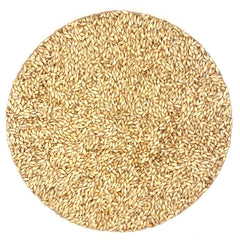 JWTradeAle.jpg