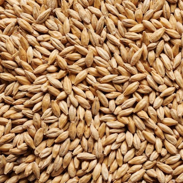 JoeWhiteSignaturePilsnerMalt_600x.jpg