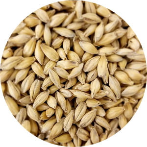 grains