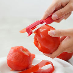 Rigamonti Hand Tomato Peeler & Fish Scaler Tool