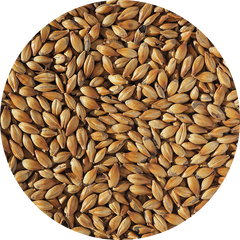 Malt-Single_Medium-Crystal-240-Malt-796-x-796.png